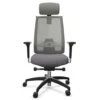 Fauteuil Ergonomique Pro Comfort
