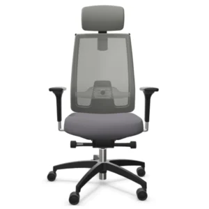 Fauteuil Ergonomique Pro Comfort