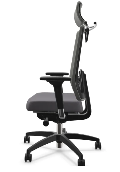 Fauteuil Ergonomique Pro Comfort